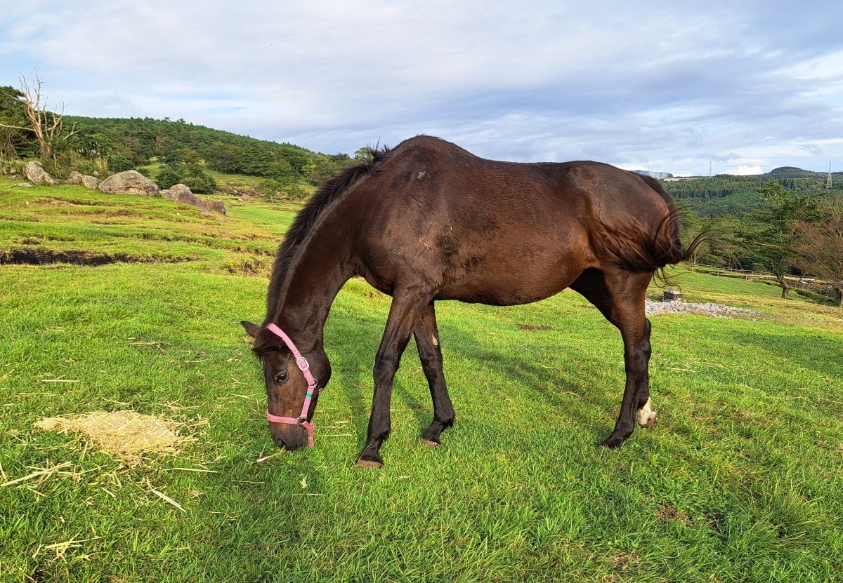 e92a11039779ad4b12bb6fcfc41b102d-1761812067.jpg e92a11039779ad4b12bb6fcfc41b102d-1761812067.jpg